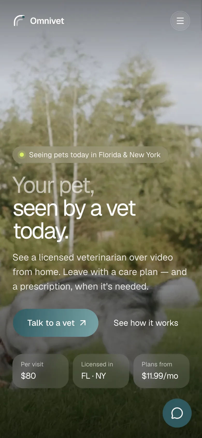 OmniVet home screen on a phone with the “Talk to a vet” call to action.